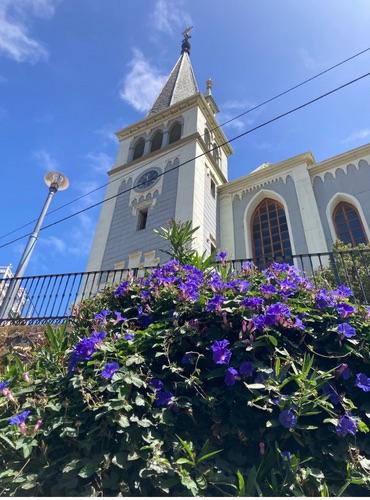 Reisblog Zuid-Amerika - Chili