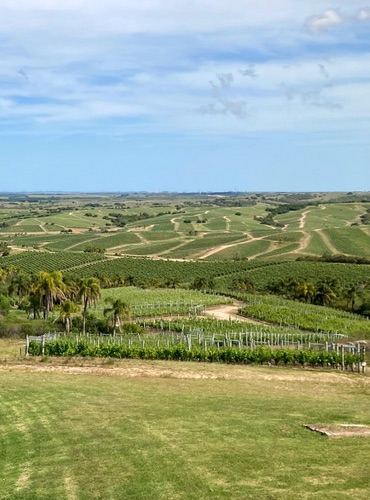 Reisblog Zuid-Amerika - Uruguay