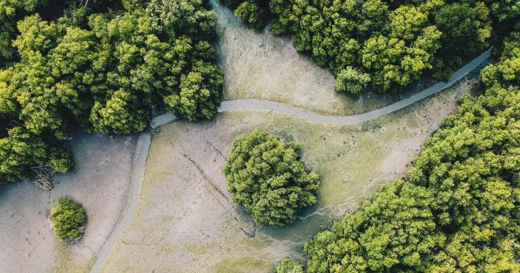 De Amazone redden: positieve ontwikkelingen - header