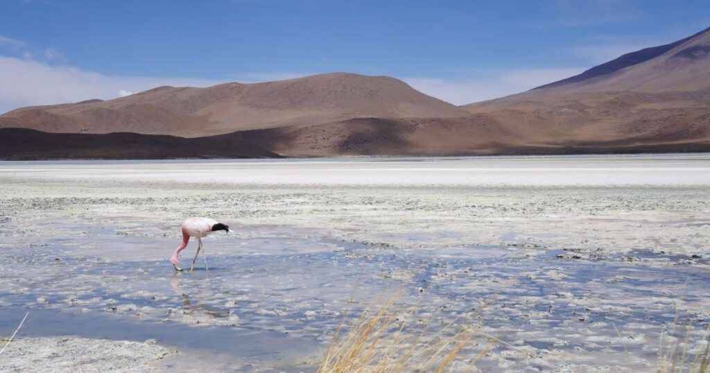 rechtvaardige energietransitie - header