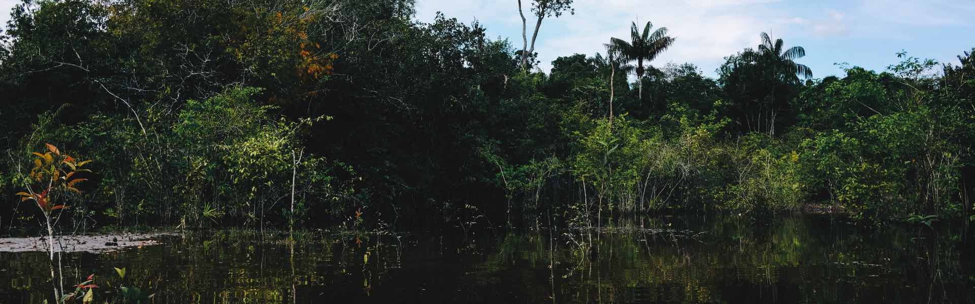 Wat moet je zeker zien in Brazilie - Amazone