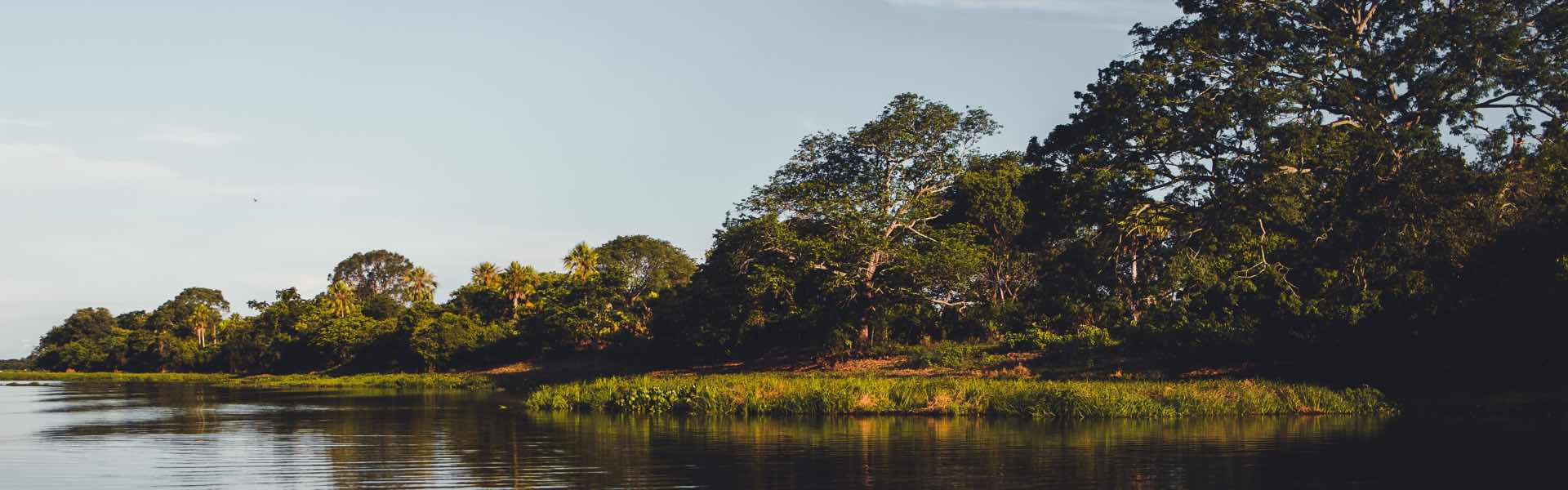Wat moet je zeker zien in Brazilie - Pantanal